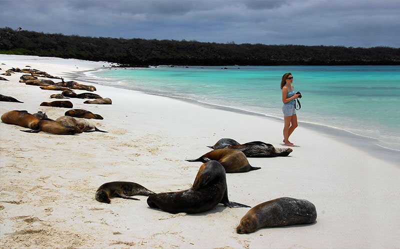 Galapagos Beach, Golful Tortuga, Puerto Ayora, Ecuador