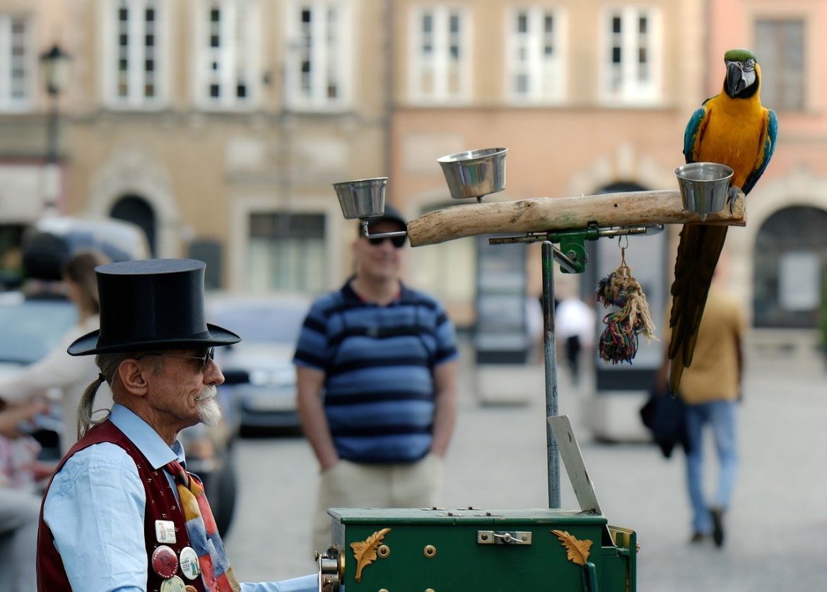 ce sa vizitezi in sibiu