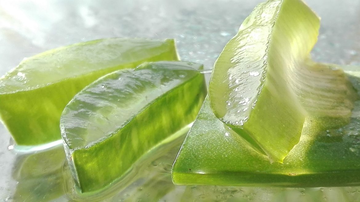 top 10 plante de apartament: frumusete si prospetime pentru casa ta